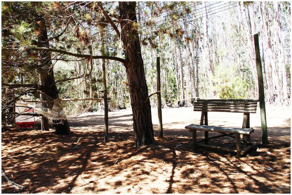 Cabanas La Magia De Isla Negra 외부 사진