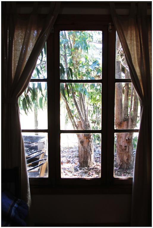 Cabanas La Magia De Isla Negra 외부 사진