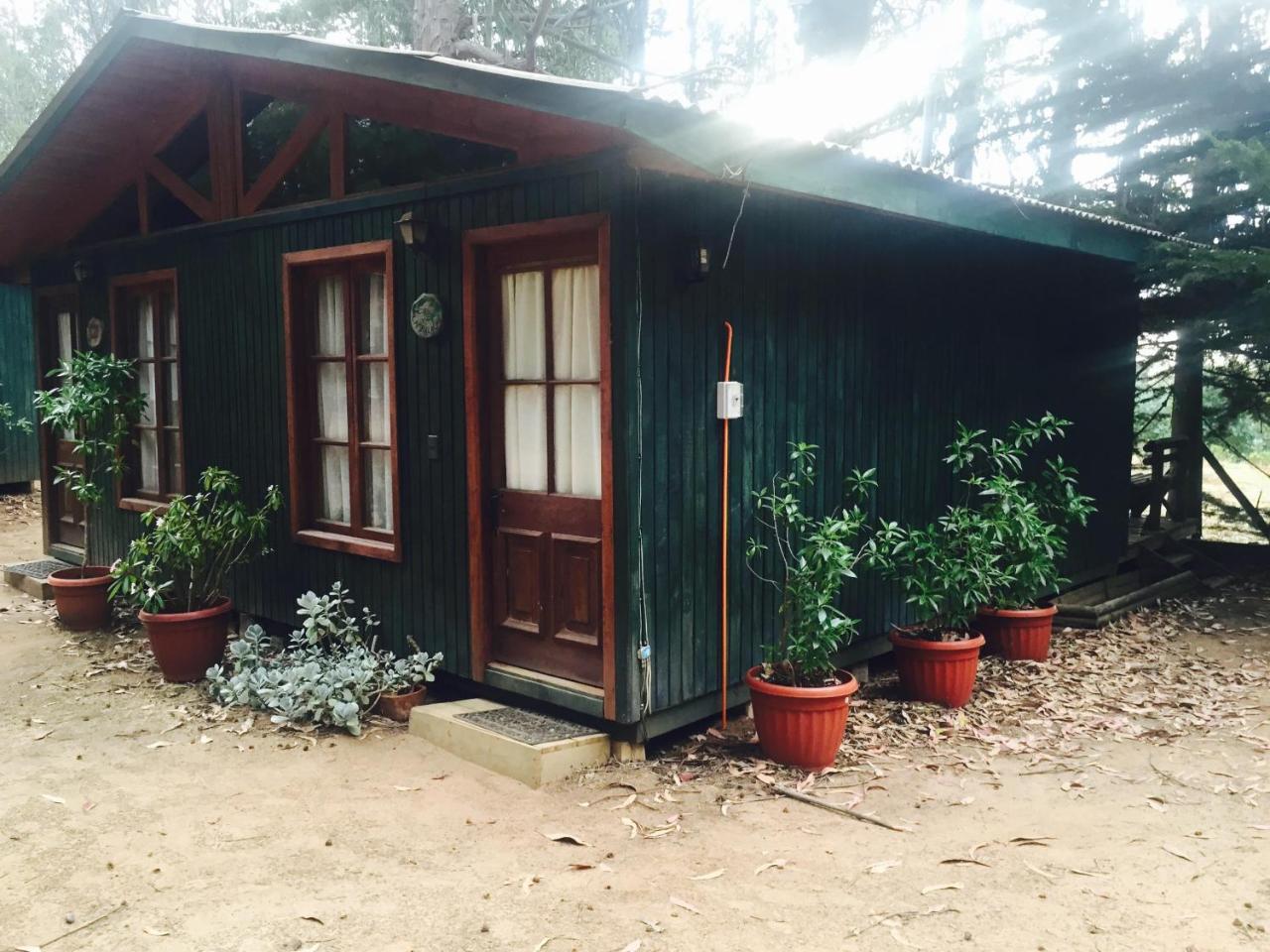 Cabanas La Magia De Isla Negra 외부 사진